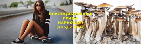 прущие грибы Михайловка